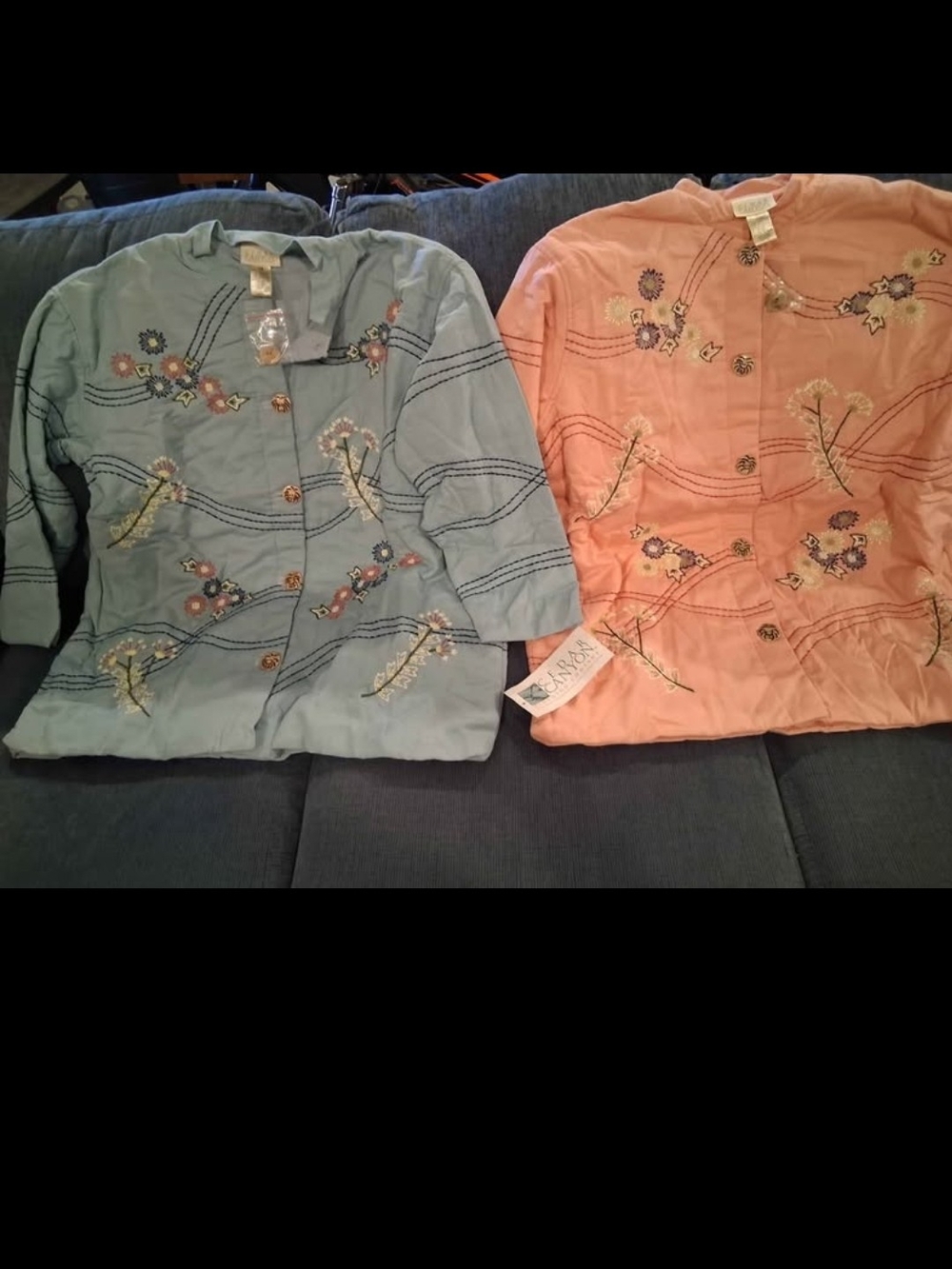 Embroidered Floral Button-Front Jacket - Blue and Peach